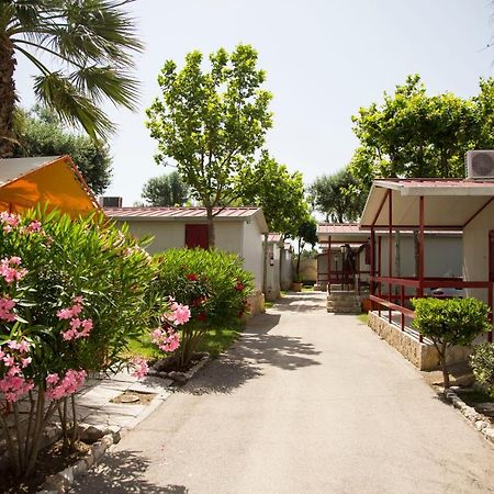זפונטה Villaggio Albergo Cervo מראה חיצוני תמונה