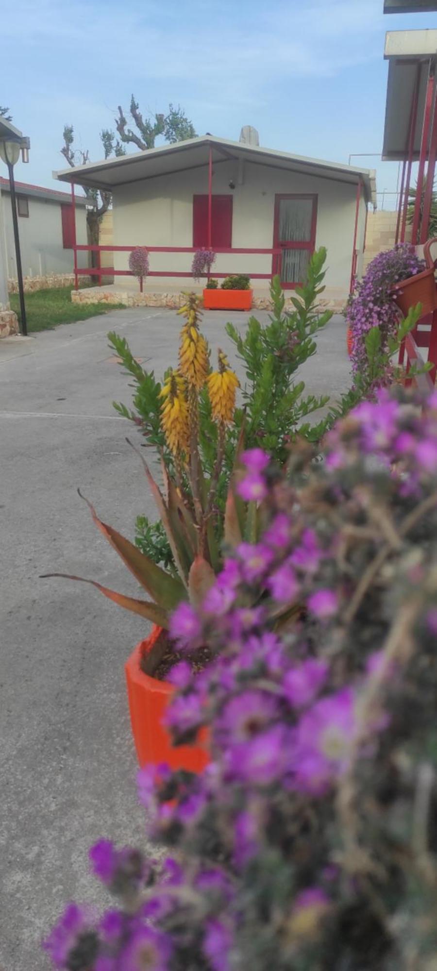זפונטה Villaggio Albergo Cervo מראה חיצוני תמונה